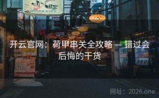 开云官网：荷甲串关全攻略 — 错过会后悔的干货