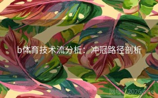 b体育技术流分析：冲冠路径剖析