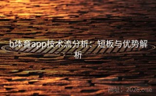 b体育app技术流分析：短板与优势解析