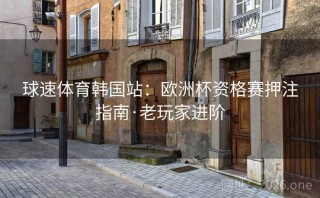 球速体育韩国站：欧洲杯资格赛押注指南·老玩家进阶
