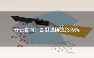 开云官网：欧冠进阶盘路修炼