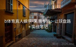 b体育真人娱乐·彩票专场：让球盘路 + 实战笔记