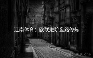 江南体育：欧联进阶盘路修炼