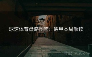 球速体育盘路图鉴：德甲本周解读