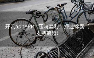 开云appAPP—压哨套利：押注锦囊（支持葡超）