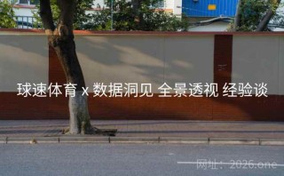 球速体育 x 数据洞见 全景透视 经验谈
