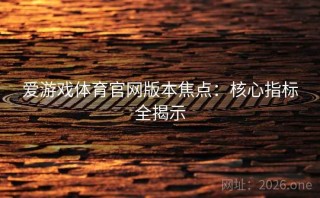 爱游戏体育官网版本焦点：核心指标全揭示