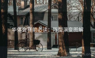 华体会赛前必读：阵型演变图解