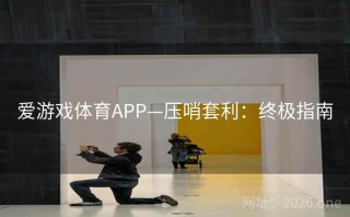 爱游戏体育APP—压哨套利：终极指南