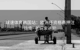 球速体育韩国站：欧洲杯资格赛押注指南·老玩家进阶