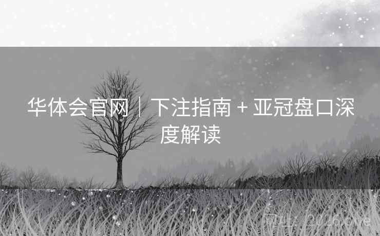 华体会官网｜下注指南 + 亚冠盘口深度解读  第2张