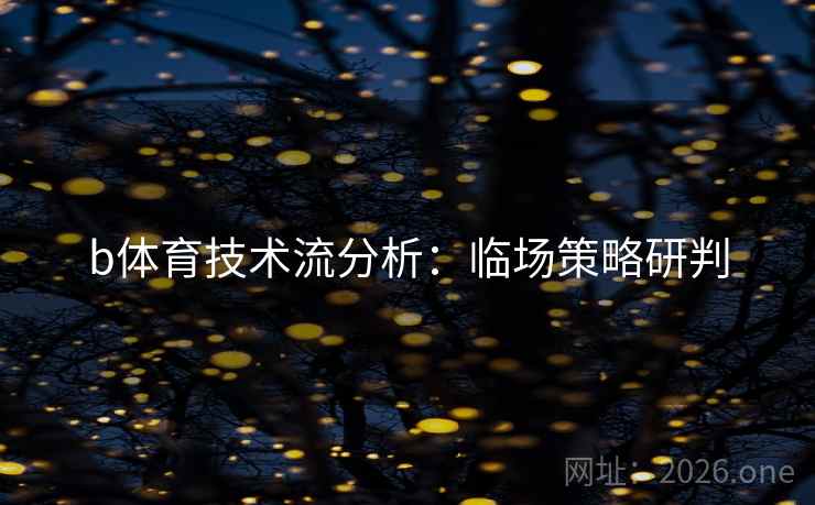 b体育技术流分析：临场策略研判  第2张