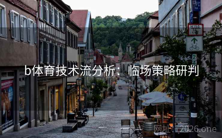b体育技术流分析：临场策略研判  第1张