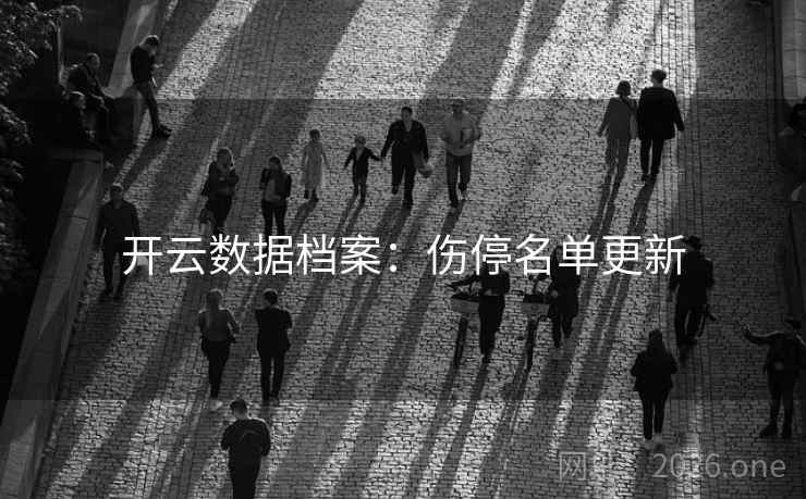 开云数据档案：伤停名单更新  第2张