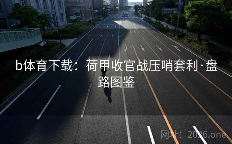 b体育下载：荷甲收官战压哨套利·盘路图鉴  第2张