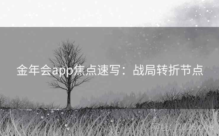 金年会app焦点速写：战局转折节点  第1张