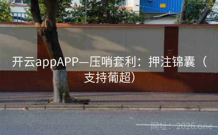 开云appAPP—压哨套利：押注锦囊（支持葡超）  第2张