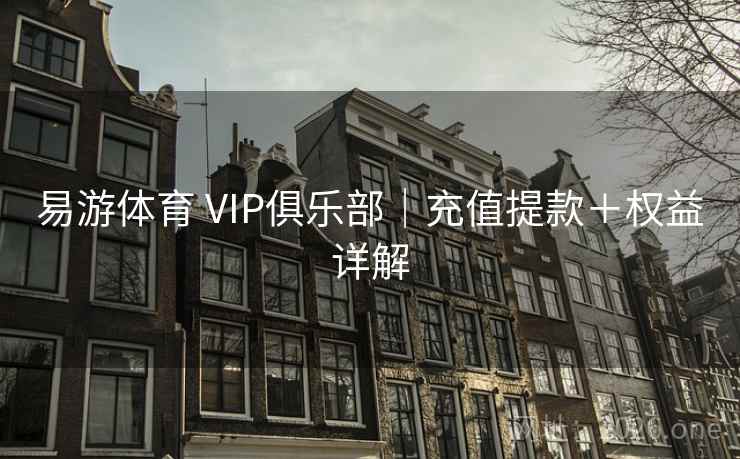 易游体育 VIP俱乐部｜充值提款＋权益详解  第2张