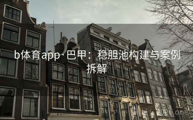 b体育app·巴甲：稳胆池构建与案例拆解  第2张