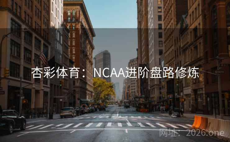 杏彩体育：NCAA进阶盘路修炼  第2张