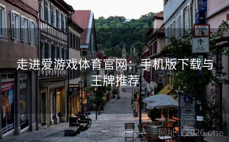 走进爱游戏体育官网：手机版下载与王牌推荐  第2张