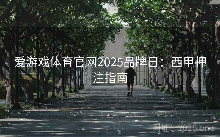 爱游戏体育官网2025品牌日：西甲押注指南  第2张