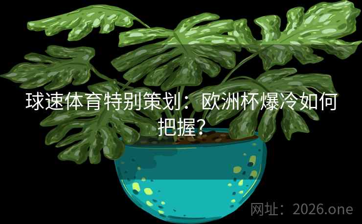 球速体育特别策划：欧洲杯爆冷如何把握？  第2张