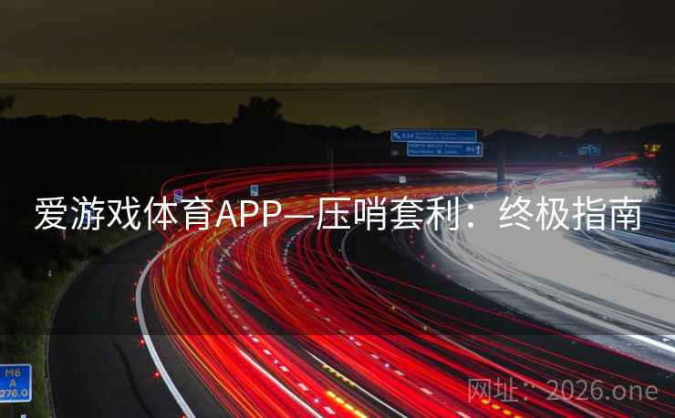 爱游戏体育APP—压哨套利：终极指南  第1张