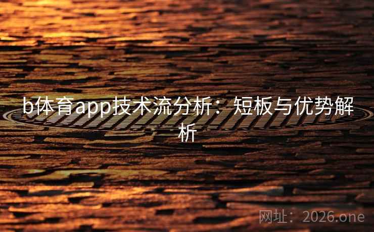 b体育app技术流分析：短板与优势解析  第1张