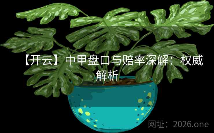 【开云】中甲盘口与赔率深解：权威解析  第1张