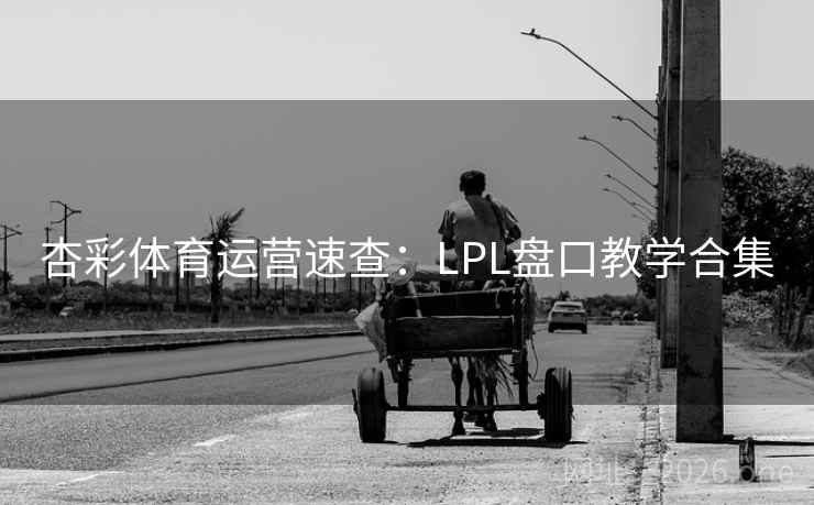 杏彩体育运营速查：LPL盘口教学合集  第2张