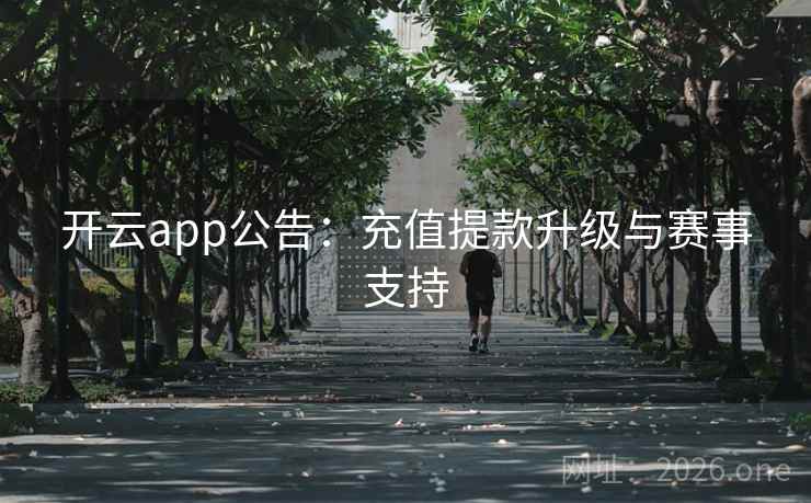 开云app公告：充值提款升级与赛事支持  第2张