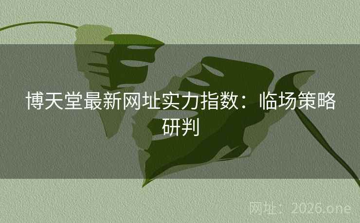 博天堂最新网址实力指数：临场策略研判  第1张