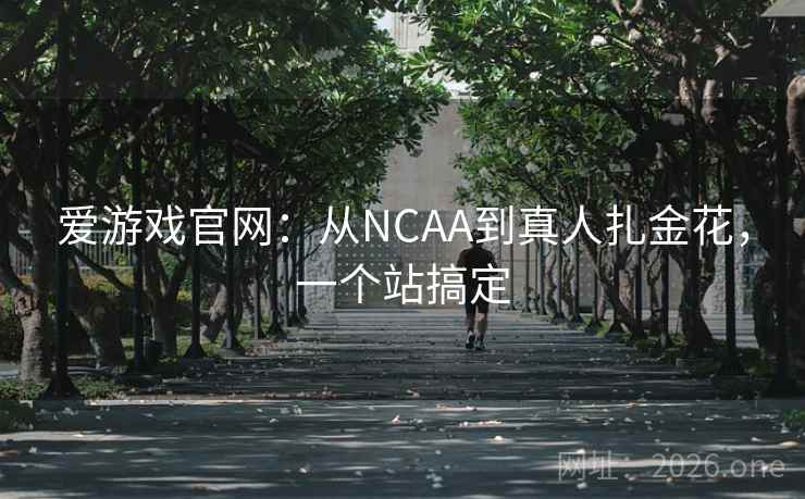 爱游戏官网：从NCAA到真人扎金花，一个站搞定  第1张